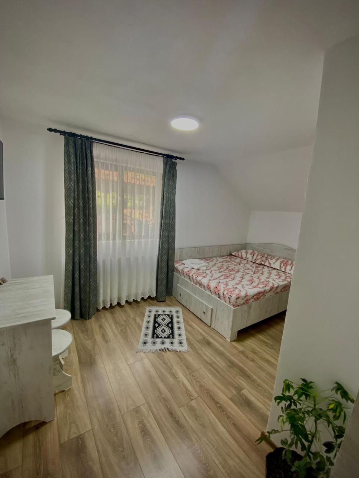 Hotel Casa Alex Curtea de Argeş Exteriér fotografie